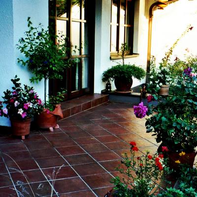 Eine Terrasse mit diagonal verlegten roten Steinplatten ist mit verschiedenen Pflanzen gestaltet.