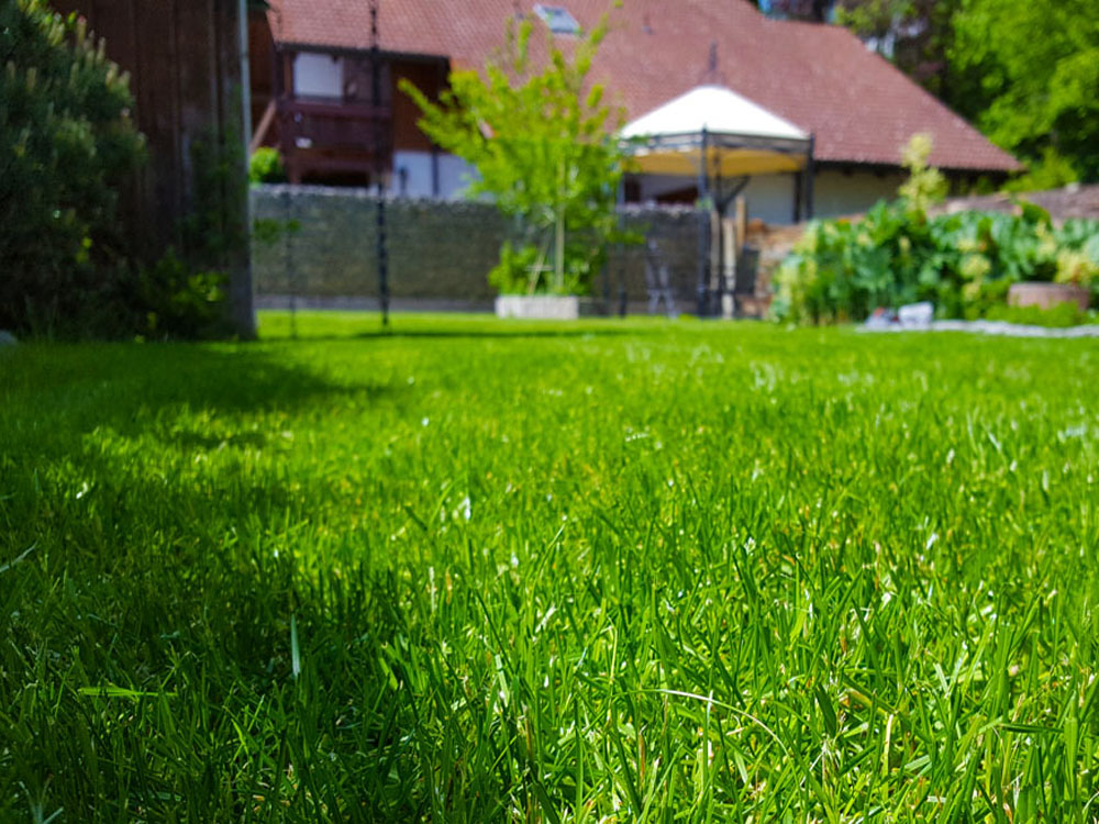 Ein gepflegter Garten