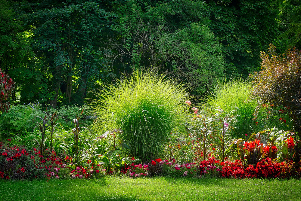 Bei GreveGalabau ist Ihre Gartenpflege in den besten Händen.