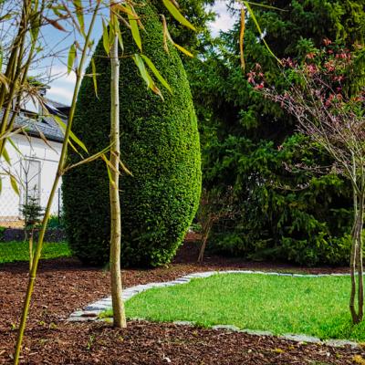 Ein grüner Rasen und eine großflächiges Pflanzenbeet mit Rindenmulch