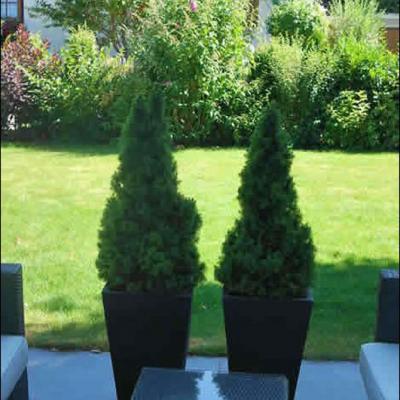 Neben einer Sitzgruppe stehen zwei große Pflanzeneimer mit Thujen auf einer Terrasse.
