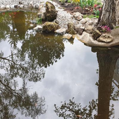 Ein Naturteich im Garten. Verschiedene Steine wurden am Rand mit Kies platziert.