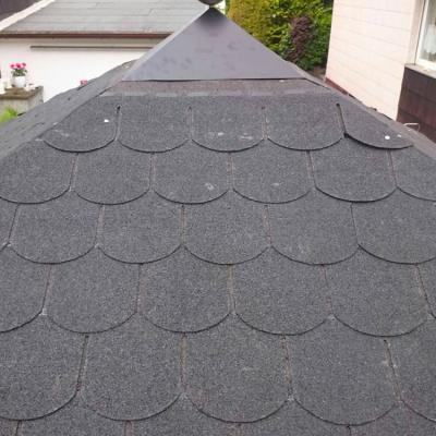Ein Dach eines Geräteschuppens mit schwarzen Biberschindeln aus Dachpappe.